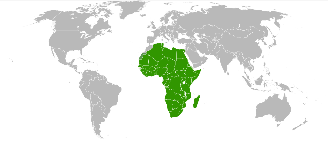 Afrika Birliği Teşkilatı